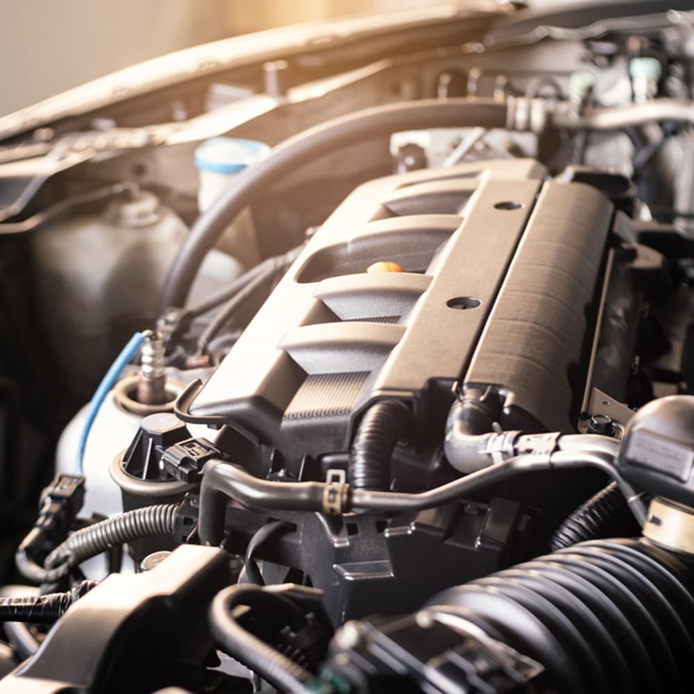 Sustitución de parabrisas